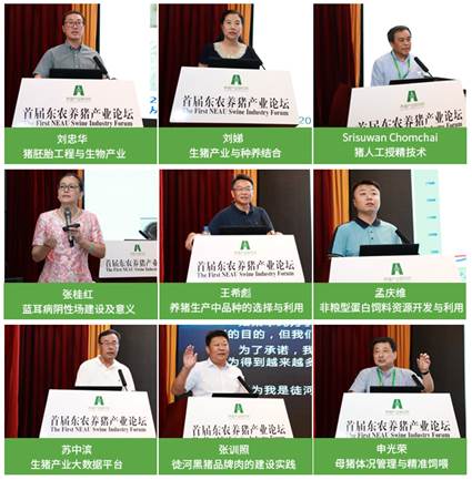 与会专家现场报告