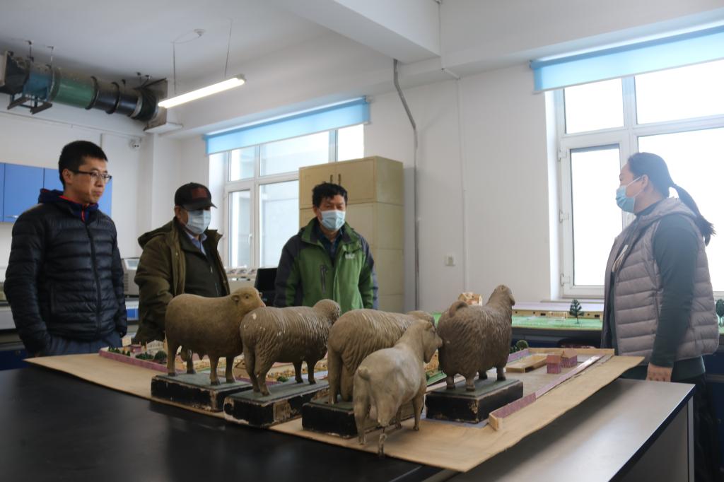 督导组参观学院牧场沙盘模型