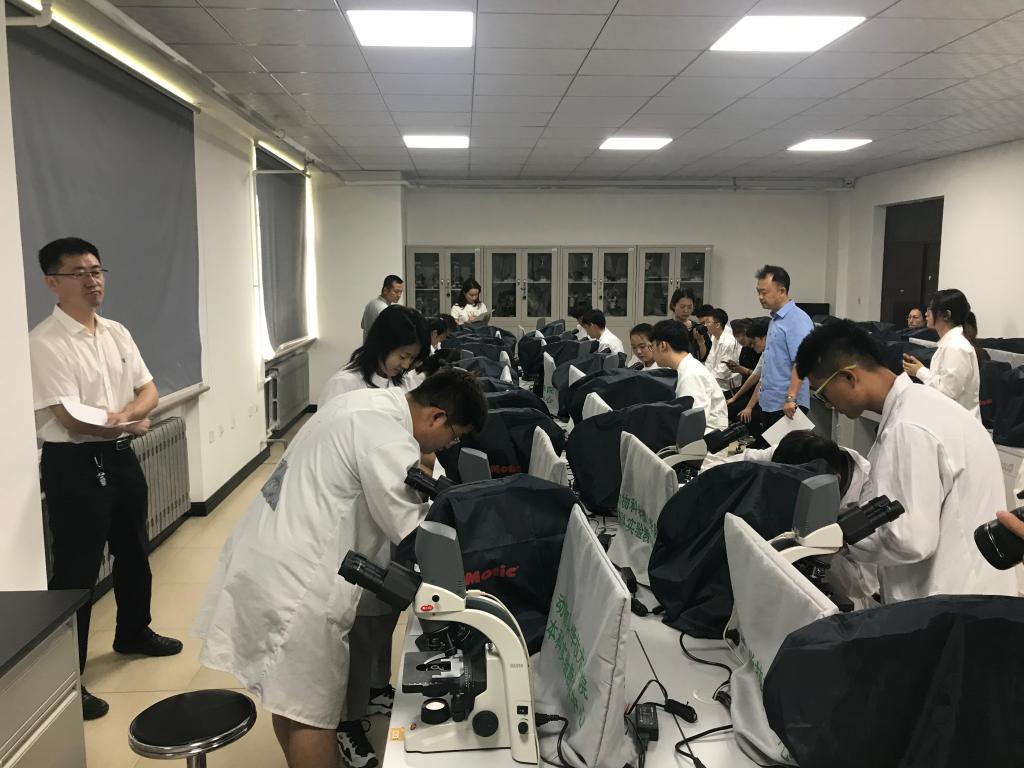 员工实验操作比赛现场